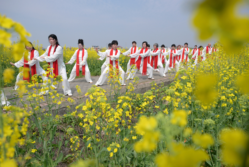 武术表演