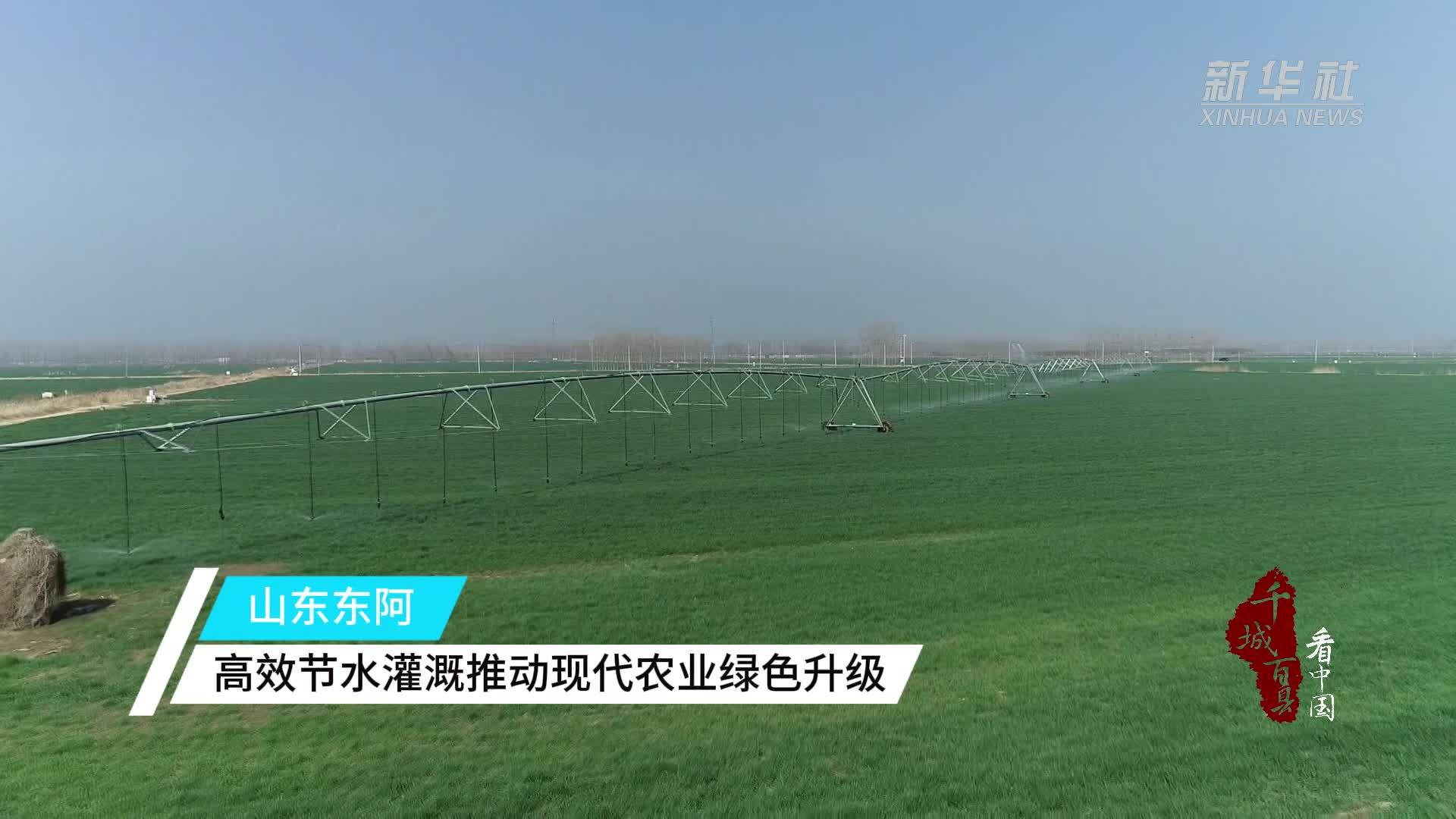 千城百县看中国｜山东东阿：高效节水灌溉推动现代农业绿色升级