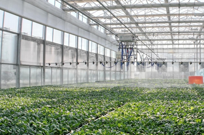 彭泽县九江心连心现代高效农业示范园智慧化育苗中心。（彭琴 摄）