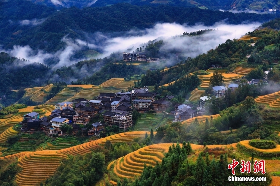 【这个城市有点潮】广西龙胜:美出层次!在“世界梯田原乡”感受独特民族风情