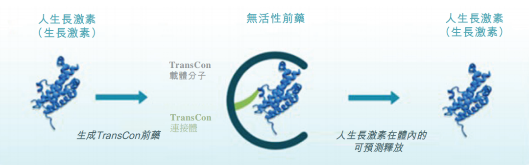 2025年首家港股上市创新药企来了,维昇药业驶向内分泌蓝海