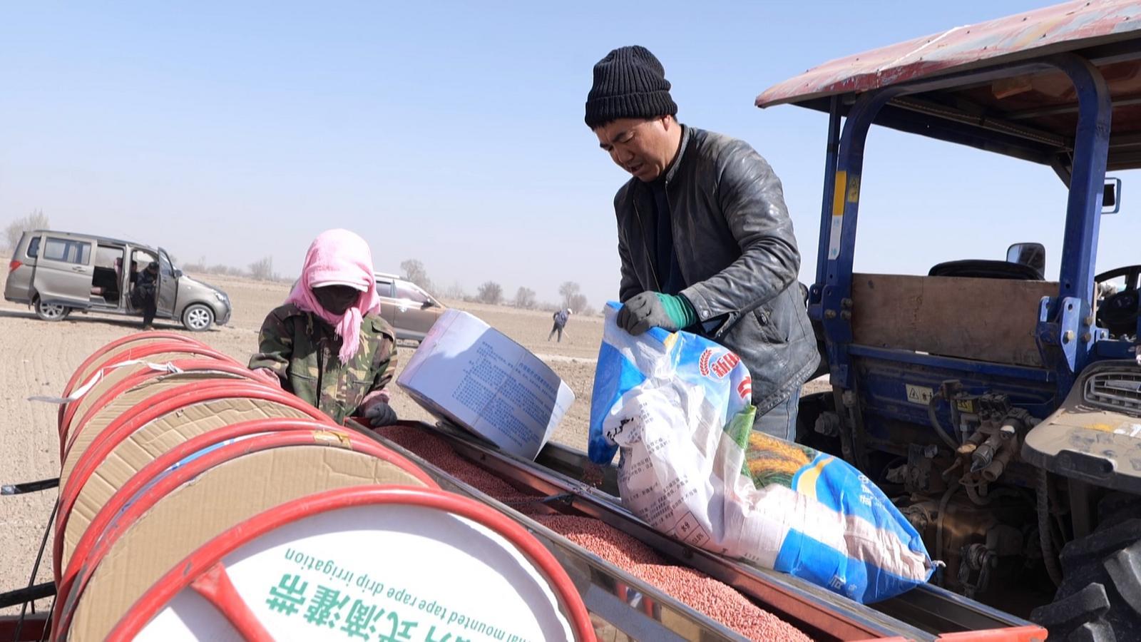 科技滴灌润沃野　永昌田间地头结出“智慧果”