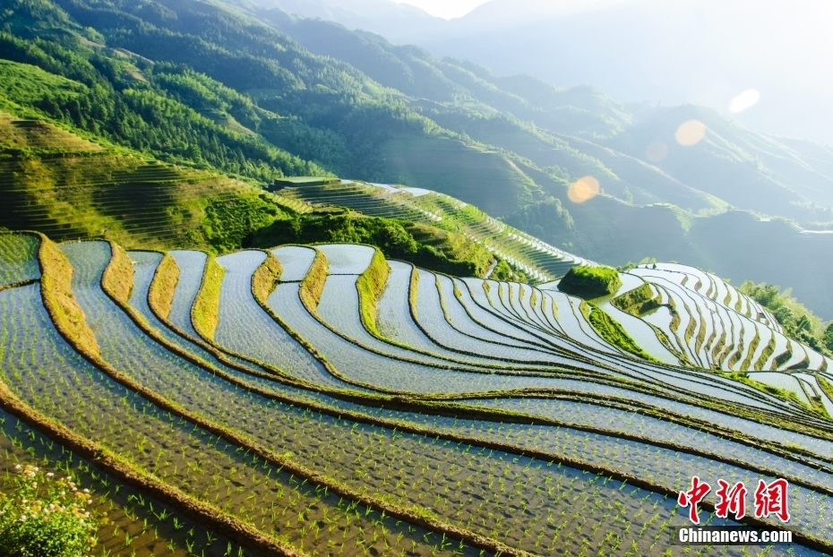 【这个城市有点潮】广西龙胜:美出层次!在“世界梯田原乡”感受独特民族风情