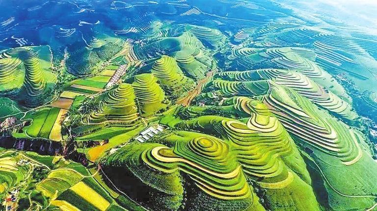 环县樱桃掌村梯田　李芳义