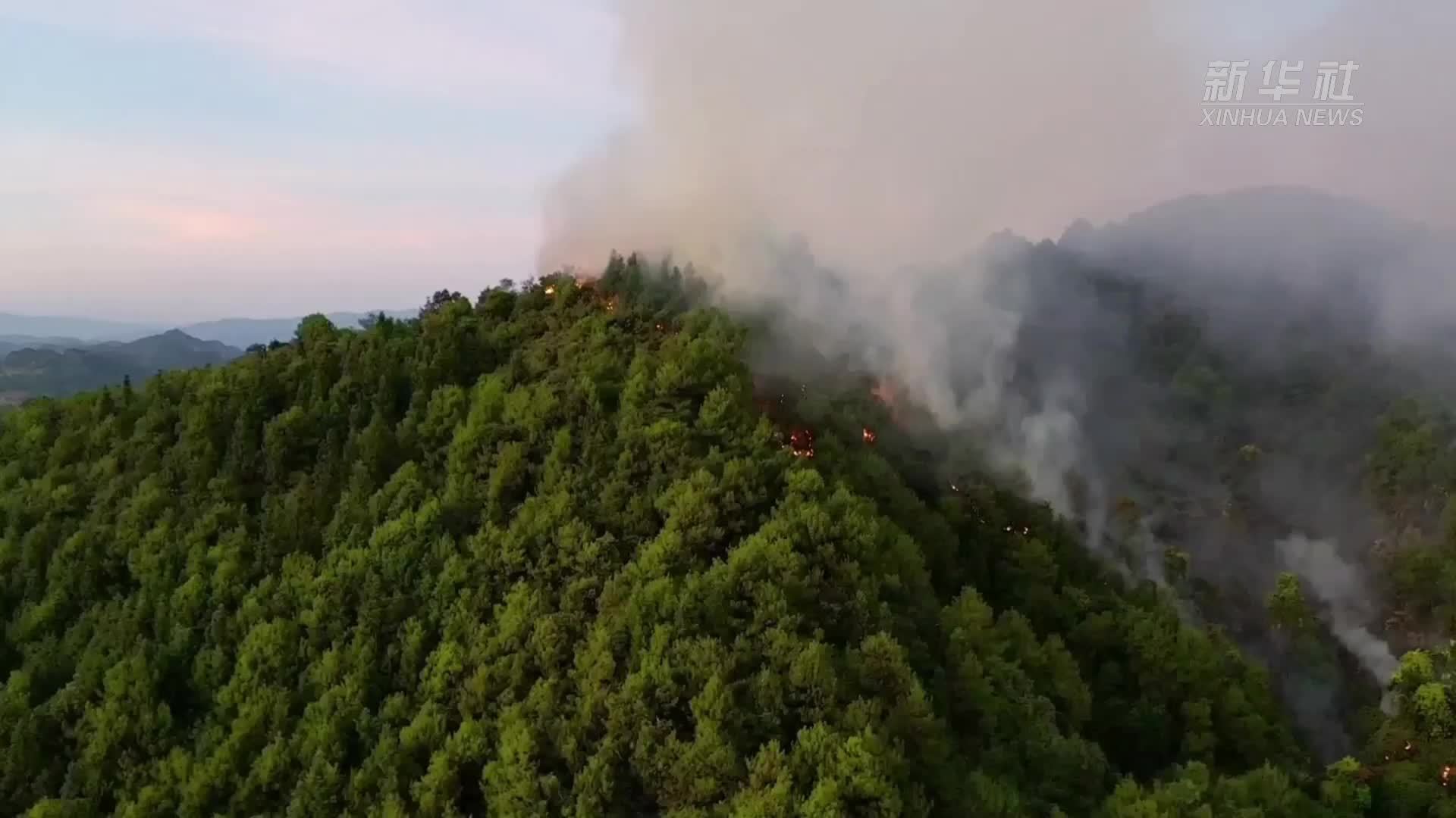 情景剧｜@所有人，这份森林草原防火指南请查收