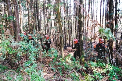 3月25日，进贤县下埠集镇森林防火巡逻队带上风力灭火机等装备，开展春季防火专项巡查行动。洪观新闻记者 魏勇剑 摄