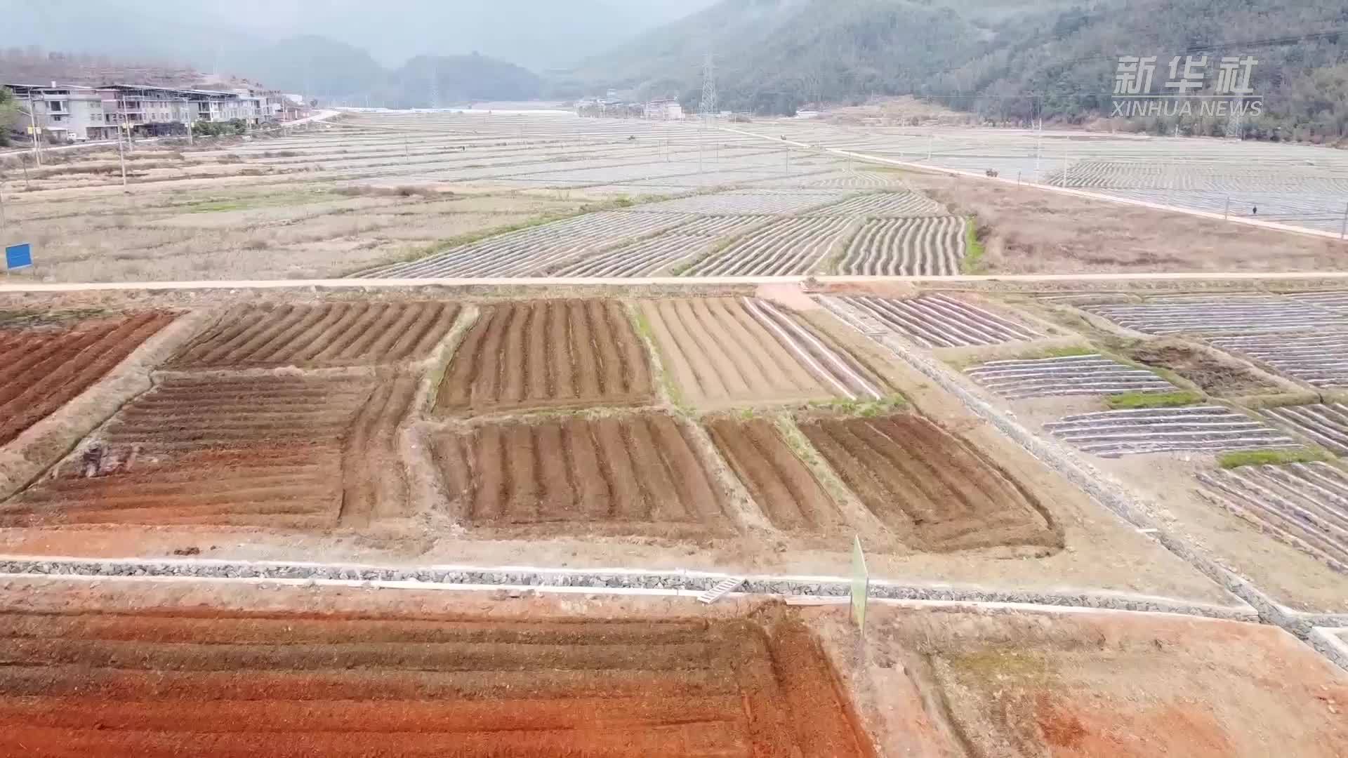 福建南平：农机政策“及时雨”