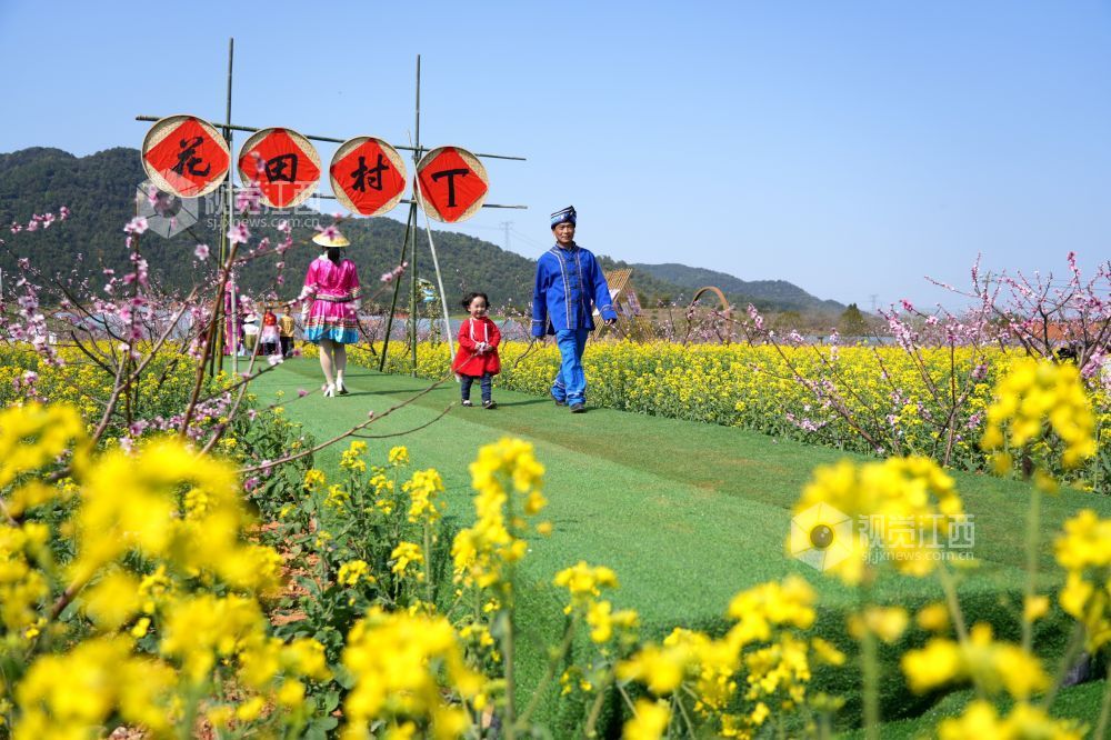 2025年3月22日，江西省吉安市峡江县金坪民族乡风情园景区，身着民族服装的群众在表演“花田村T秀”。