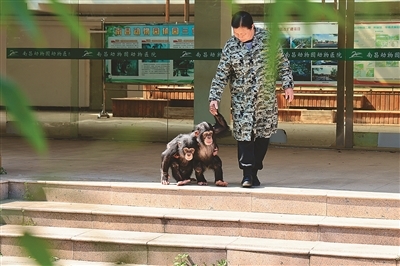 春天来南昌动物园 看饲养员与动物的故事