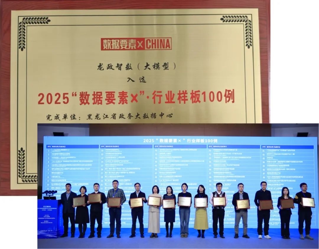 龙政智数（大模型）入选2025“数据要素X”行业样板100例