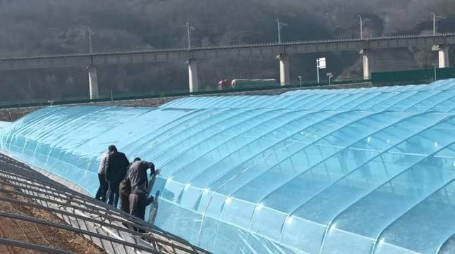 华亭90座大棚穿“新衣”　土地秒变“绿色银行”