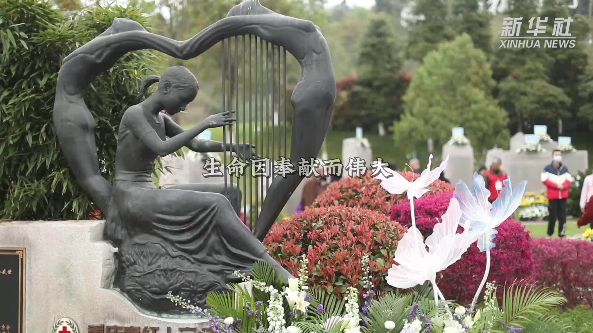 用爱架起生命之桥：清明节前缅怀遗体和人体器官捐献者