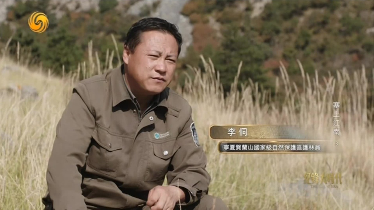 一代代护林人的坚守，是对贺兰山的反哺，也是对家园的守护