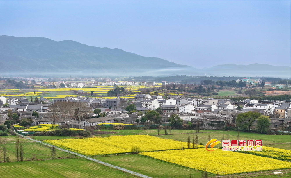 安义古村春景（图）