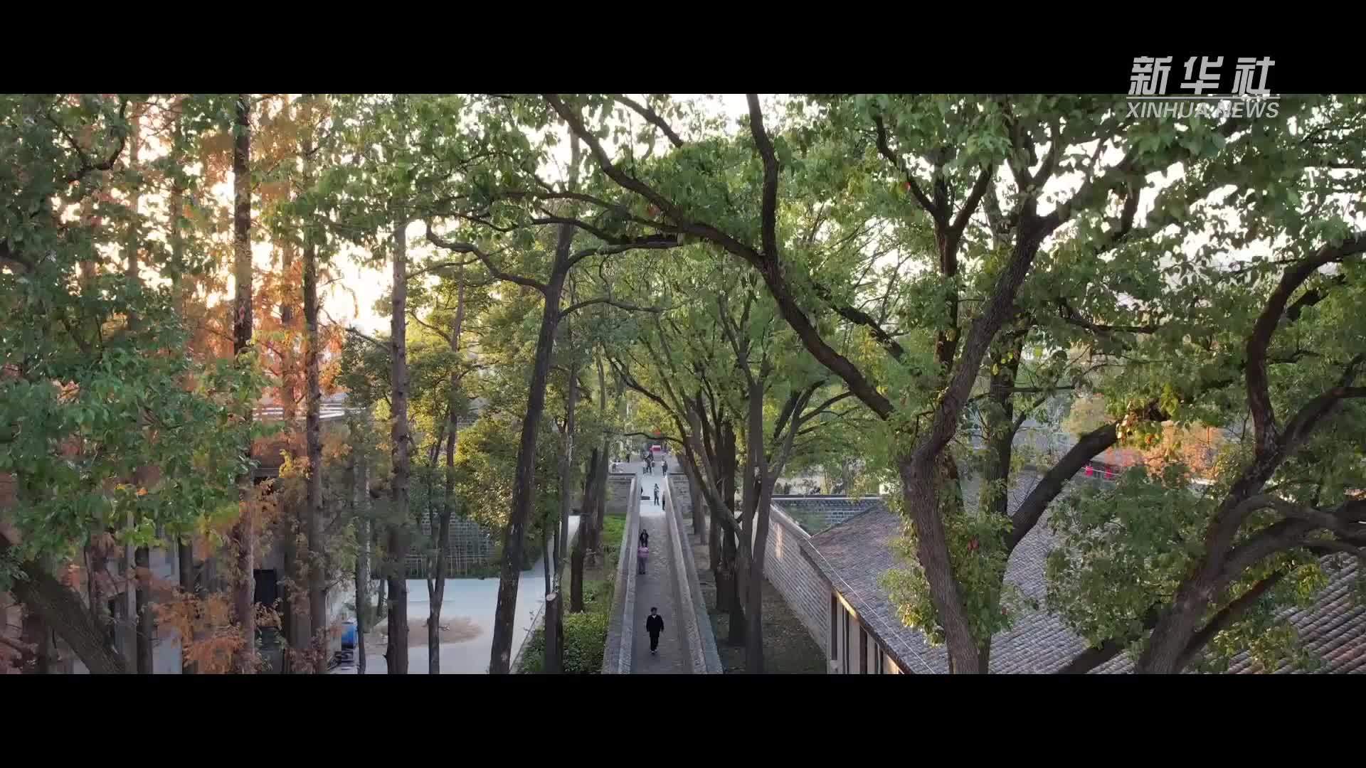 跟着总书记探寻中华文明｜桐城六尺巷：小小窄巷“和”之大道