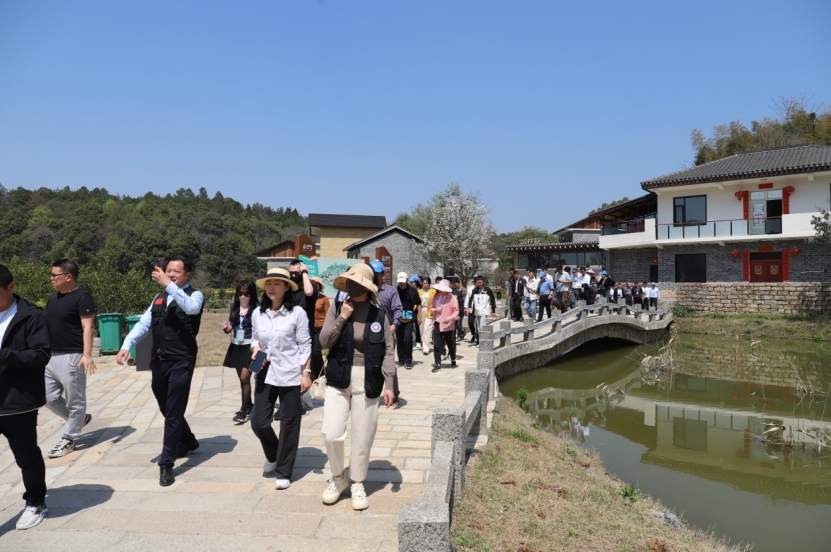 新的社会阶层人士走进九江庐山市探寻山水之美