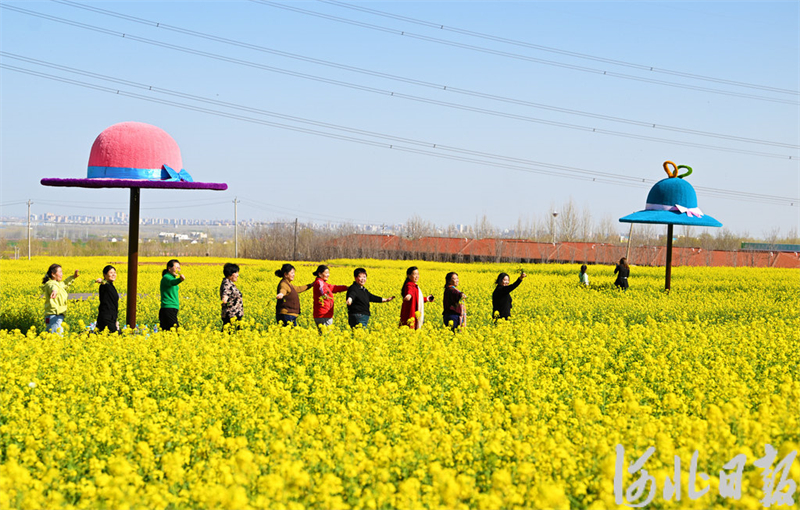 油菜花海春光美12.jpeg