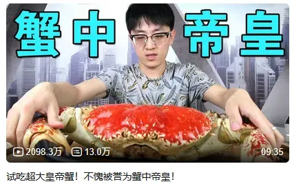 从年入百万元,到负债几百万元!顶流UP主被骗1249万元