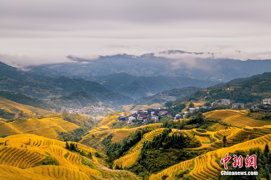 【这个城市有点潮】广西龙胜:美出层次!在“世界梯田原乡”感受独特民族风情