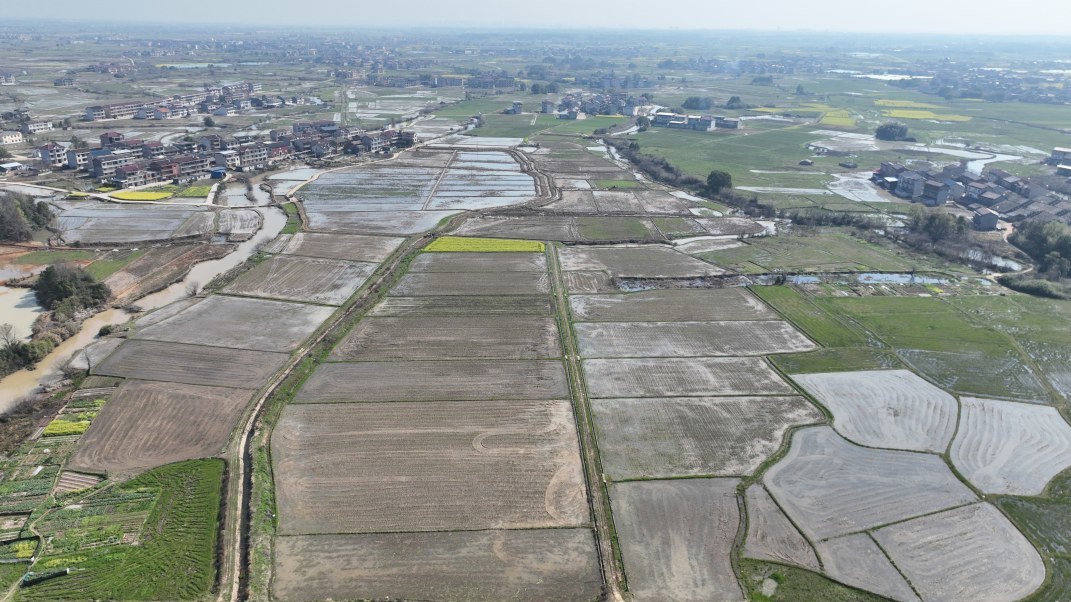 崇仁县白路乡建设完成的部分高标准农田。