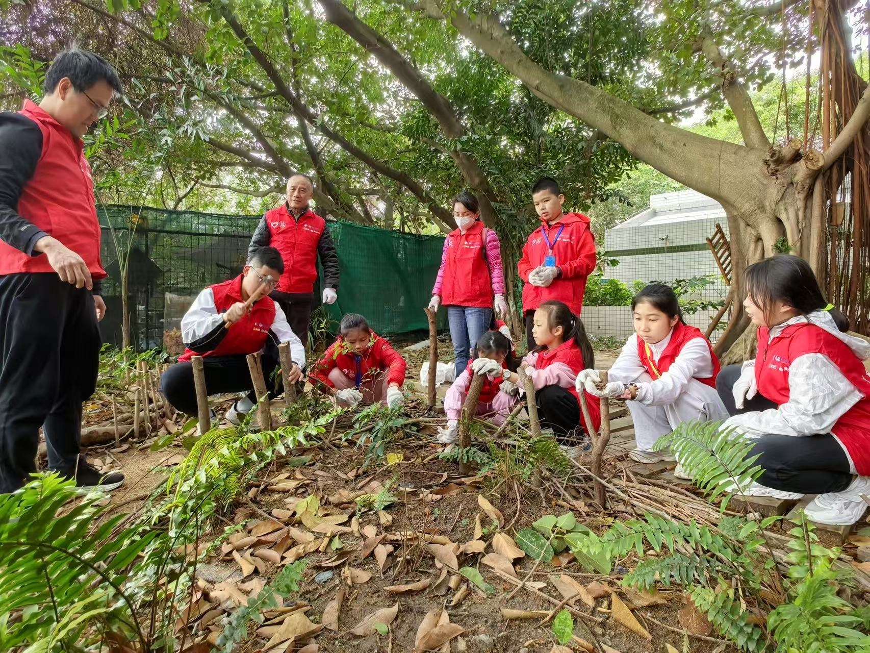 西乡街道盐田社区少工委开展蒲公英计划之垃圾分类宣教及蝴蝶兰回植志愿服务活动