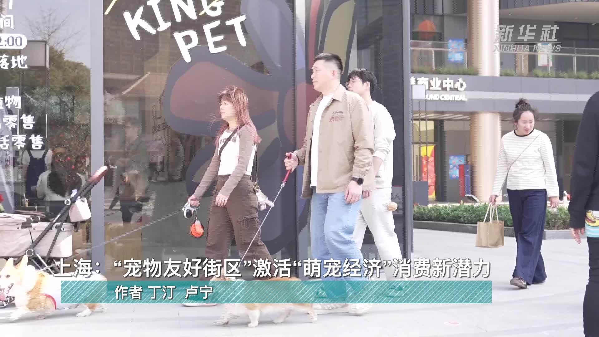 上海：“宠物友好街区”激活“萌宠经济”消费新潜力