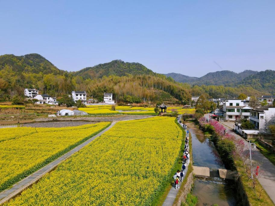黄山市徽州区：花漾古村织锦秀 徽风皖韵促振兴