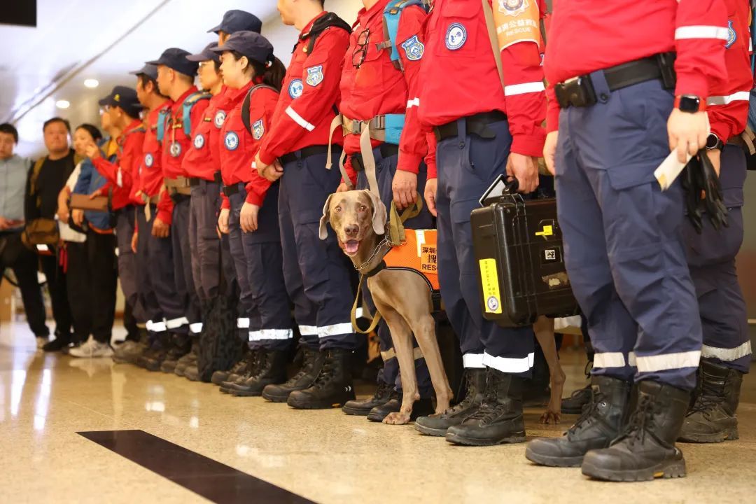 72小时争分夺秒搜救！深圳搜救犬“多吉”在震区嗅探生机