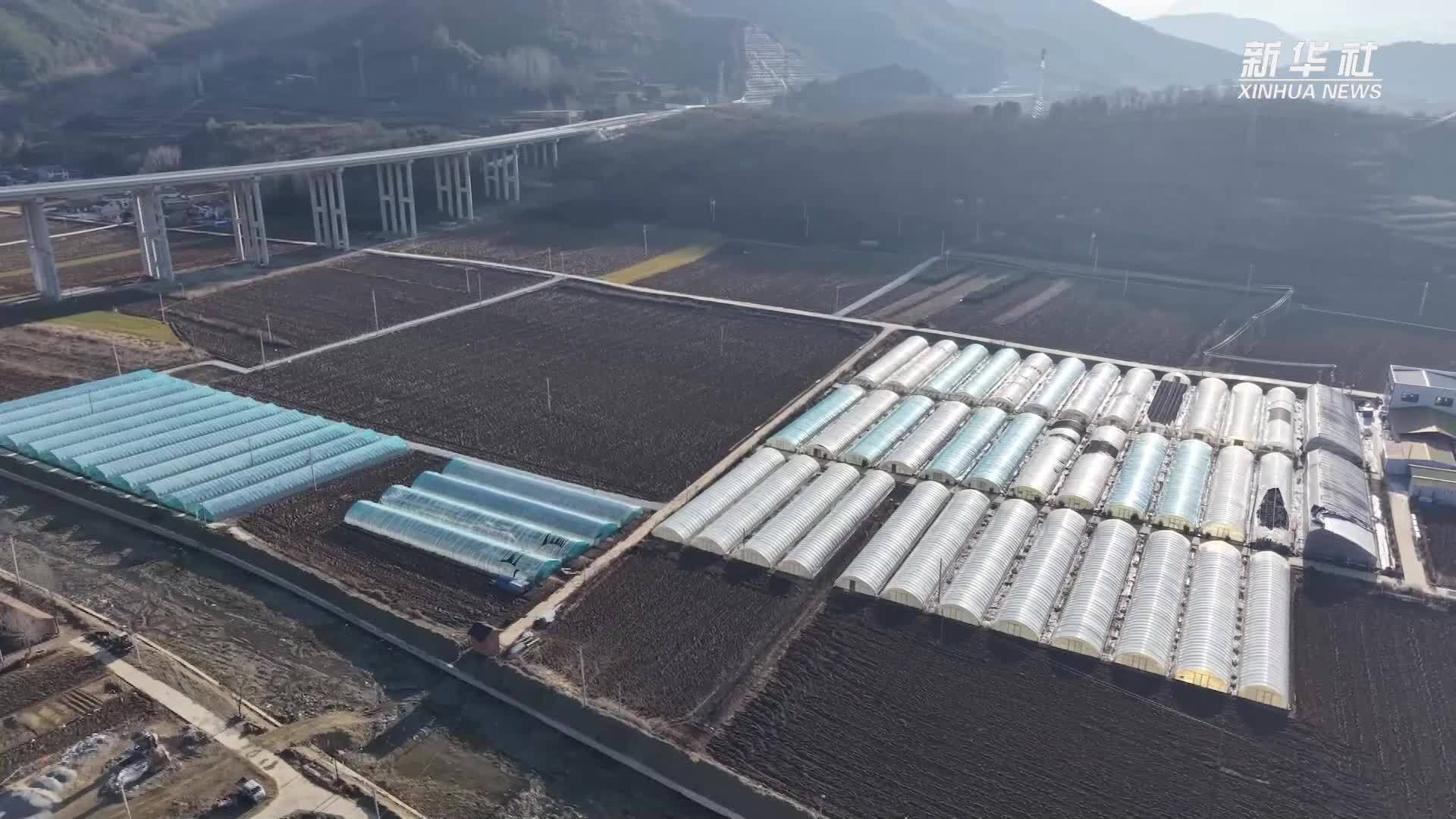 陕西太白县：高山蔬菜育苗忙