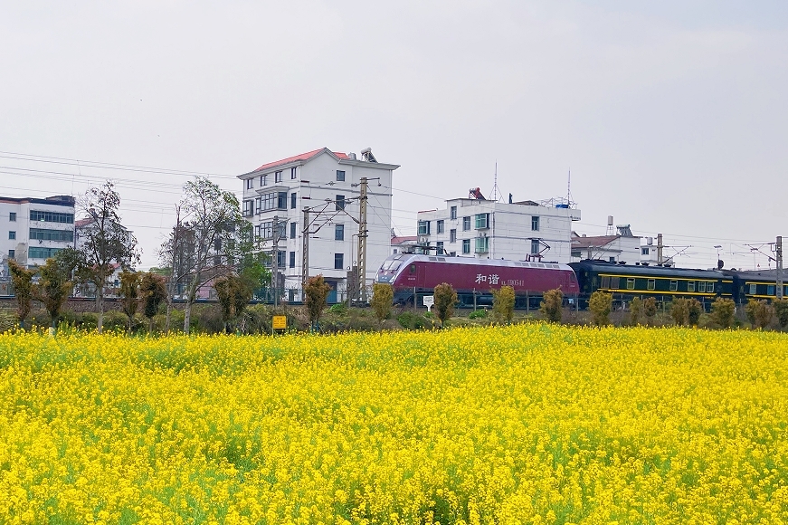 江西南昌县:春意浓 花有约