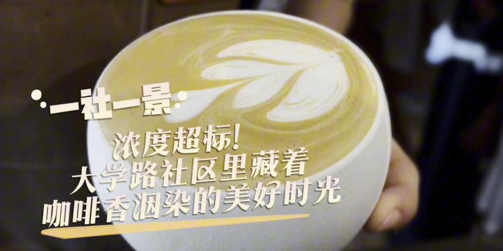 一社一景|走进有“咖啡一条街”美称的大学路