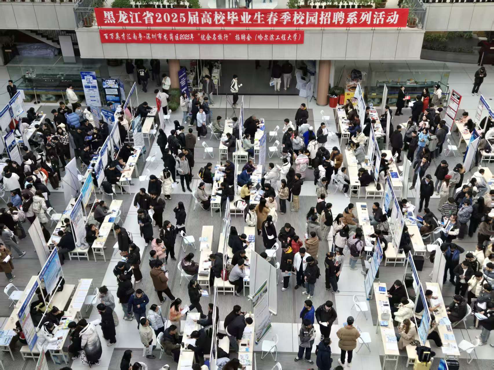 “百万英才汇南粤”之龙岗赴哈尔滨，招聘成效显著