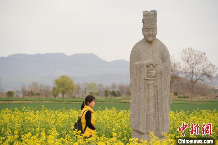 图为游客从油菜花田中的石像生旁路过。经晓佳 摄