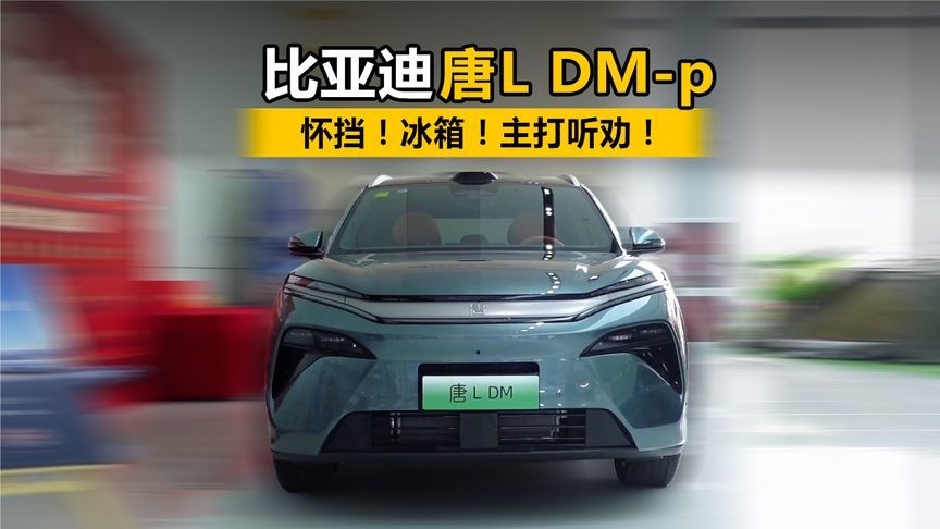 怀挡！冰箱！主打听劝！静态体验唐L DM-p