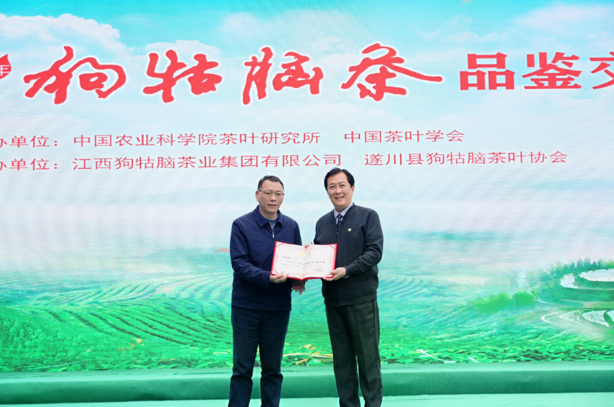 2025年狗牯脑茶品鉴交易会启幕