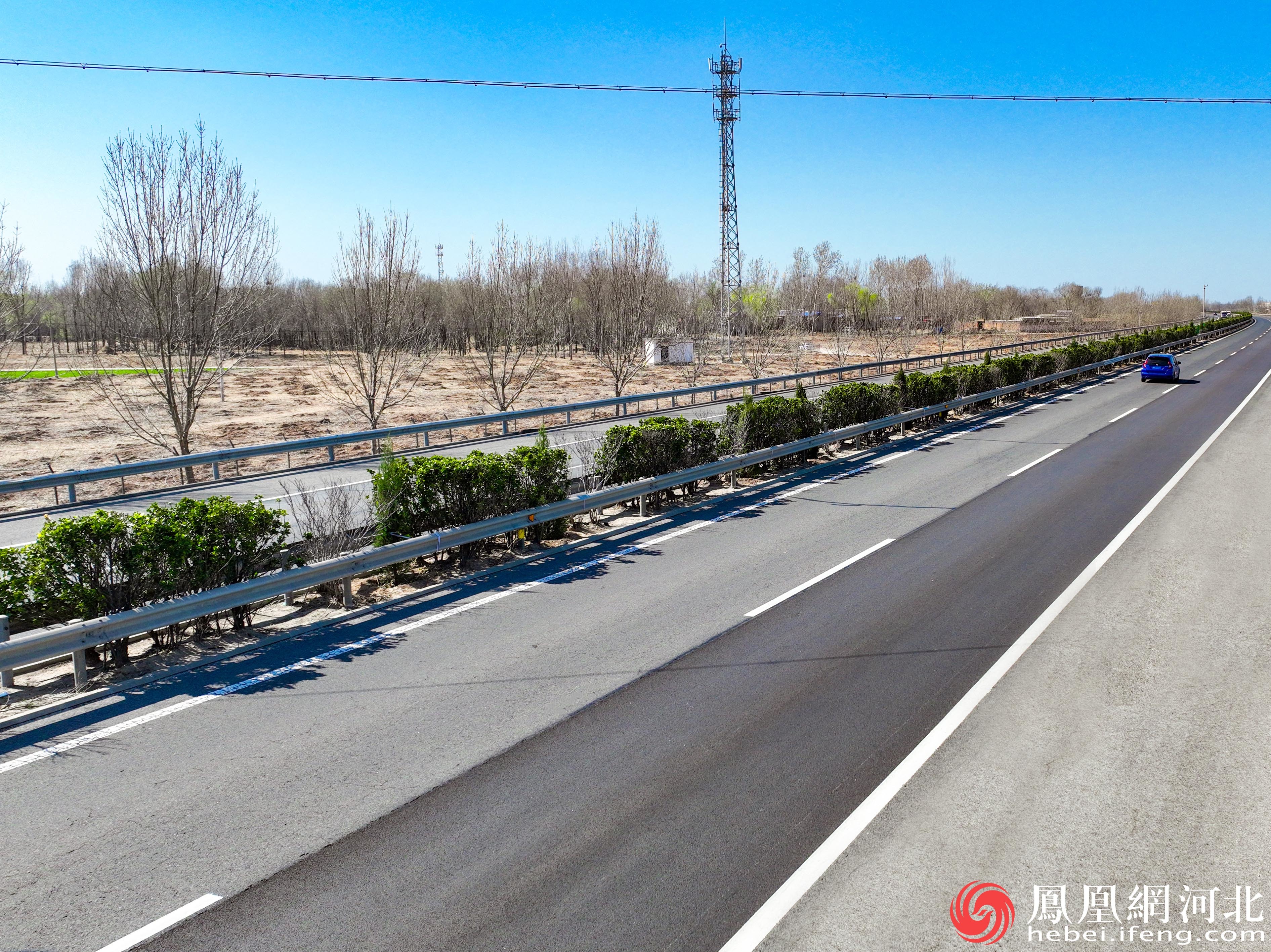 青银高速在中分带进行绿植补种。摄/李卓然