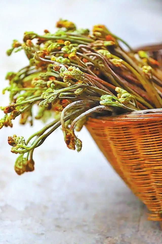 蕨菜
