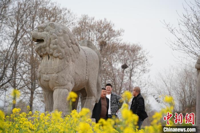 图为游客在永裕陵欣赏春景。经晓佳 摄
