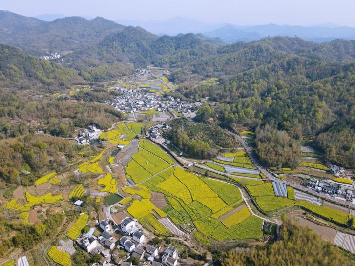 黄山市徽州区：花漾古村织锦秀 徽风皖韵促振兴