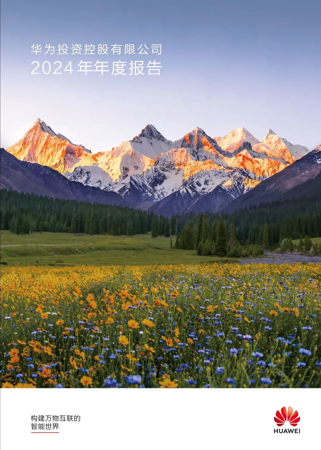 8621亿元!华为发布年报,孟晚舟最新发声