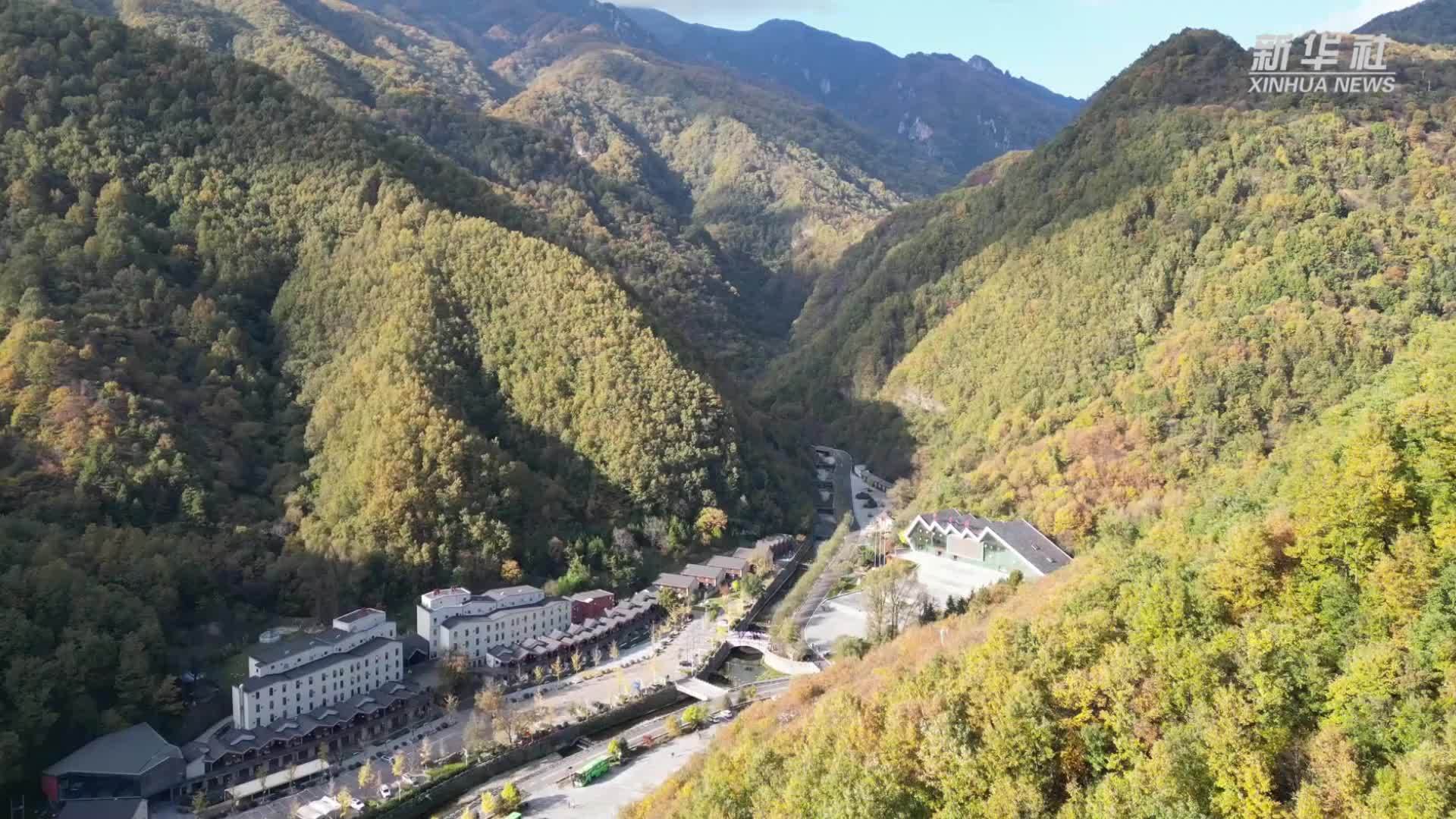 朱家湾：“好山水”带给群众“好生活”