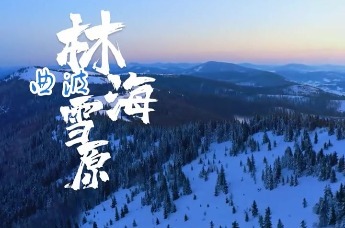 清明时节“文学里的黑龙江”推出第二集 | “林海雪原传奇”烈士杨子荣、高波后人寻访英雄牺牲地