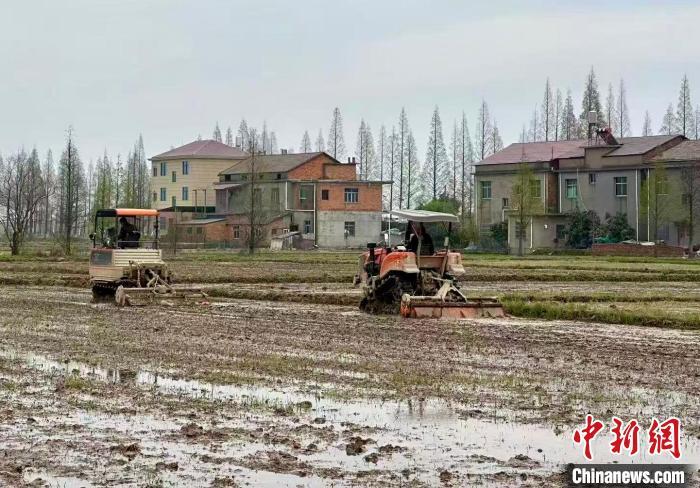 圖為在江西省南昌市南昌縣塘南鎮，農戶駕駛旋耕機作業。　鄭若夢 攝