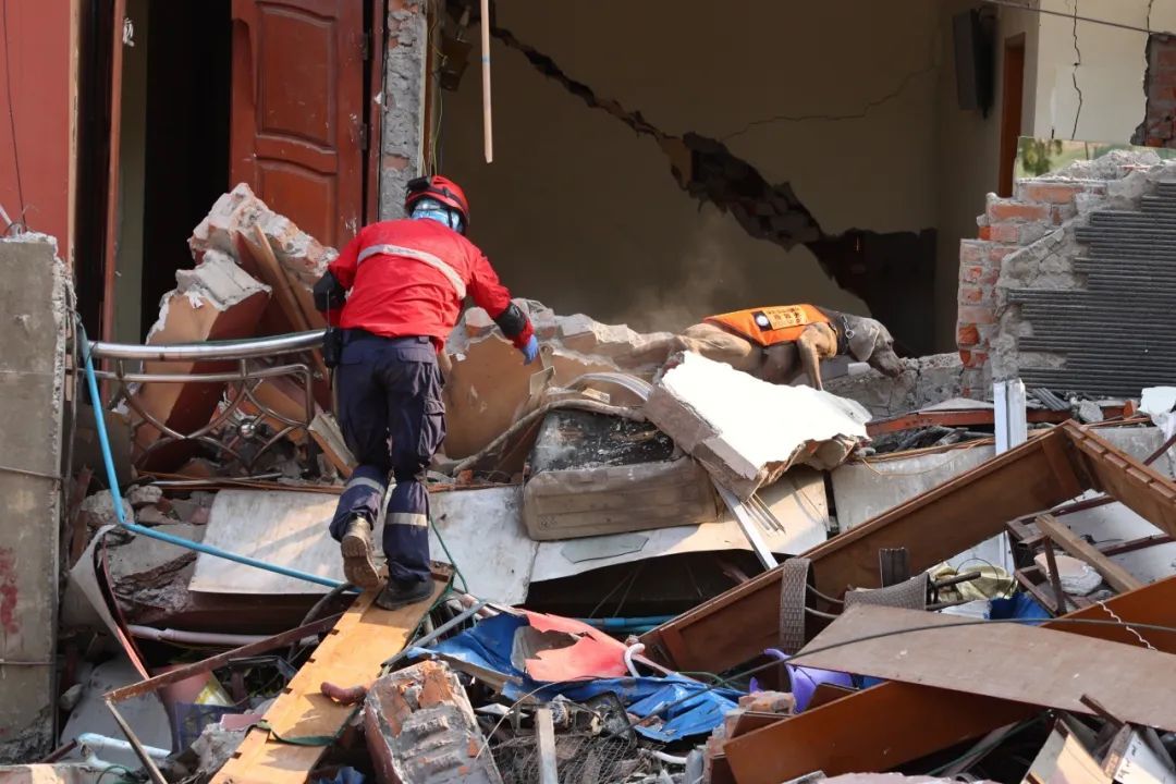 搜救犬“多吉”和队员一起参与救援行动。