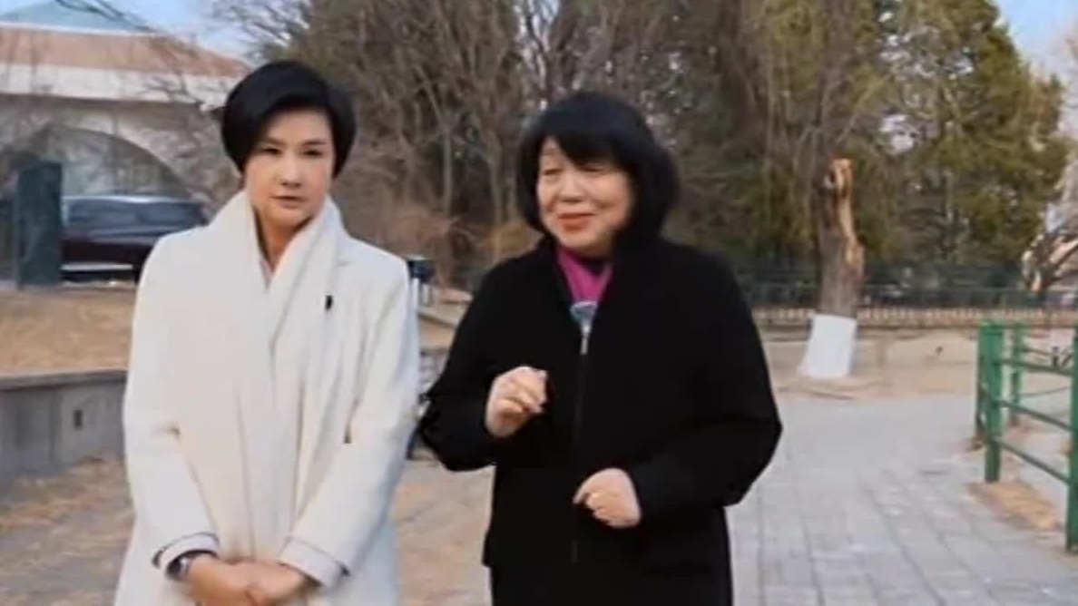 毕淑敏：当你觉得非常痛苦时，要不断地给自己打气，坚持一下是可以过去的