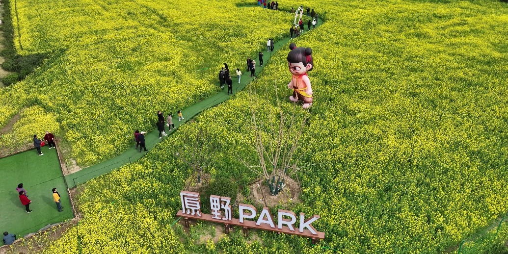 春游河北！高铁片区繁花似锦，百亩油菜花等你来！
