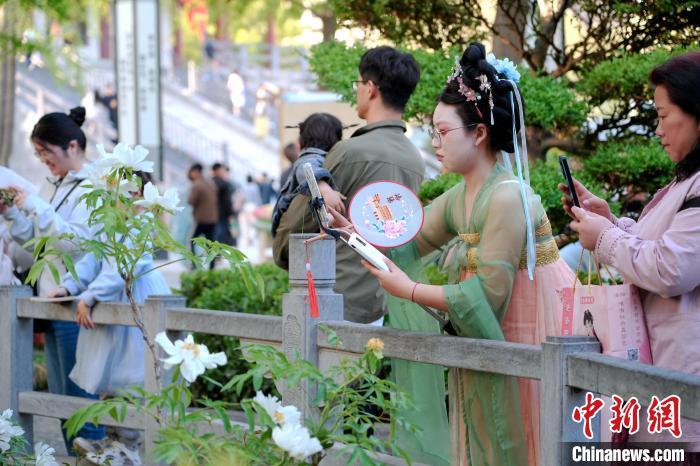 图为绽放的牡丹吸引游客拍摄。中新社记者 李超庆 摄