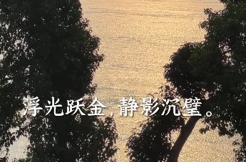 滕子京应该是第一个问美国人Can you speak English 的人吧？歪果仁研究协会来岳阳打卡了