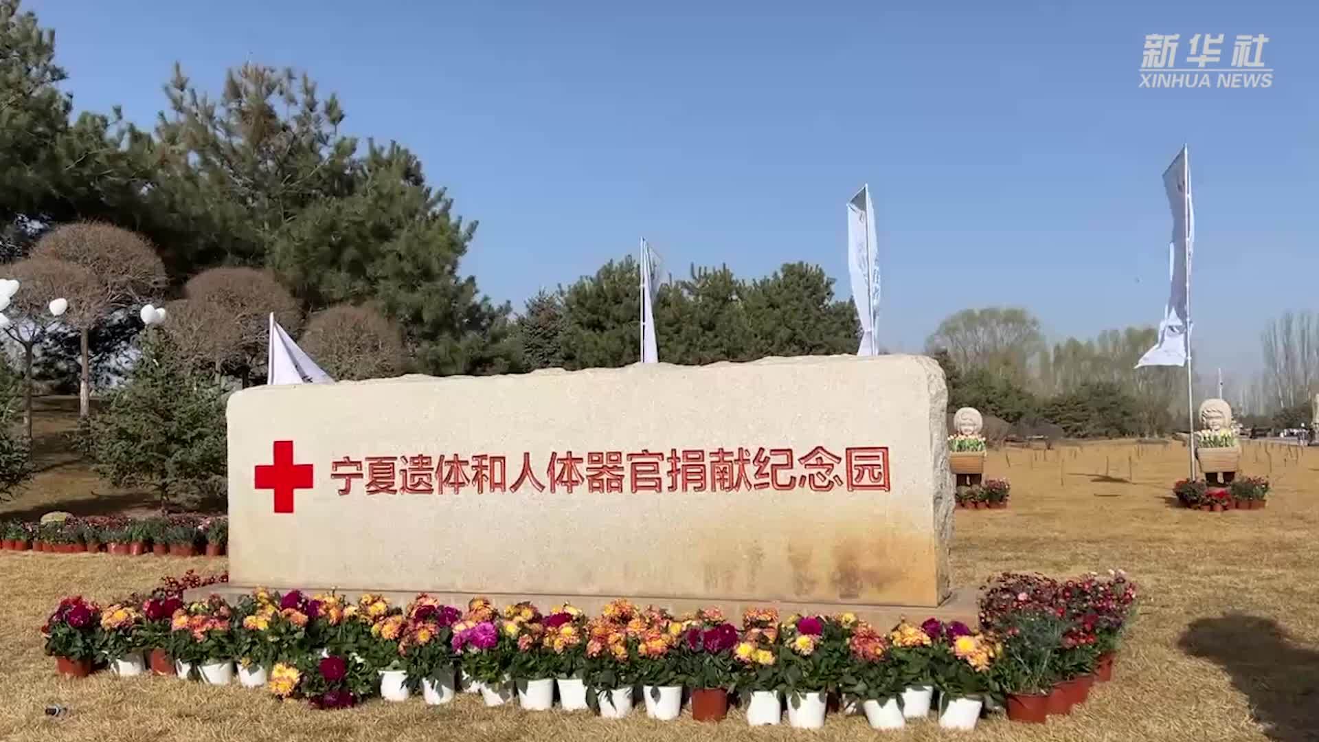 宁夏：清明节前缅怀遗体器官捐献者