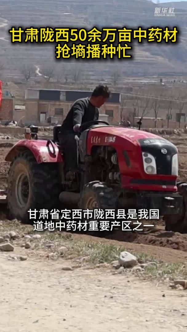甘肃陇西50余万亩中药材抢墒播种忙